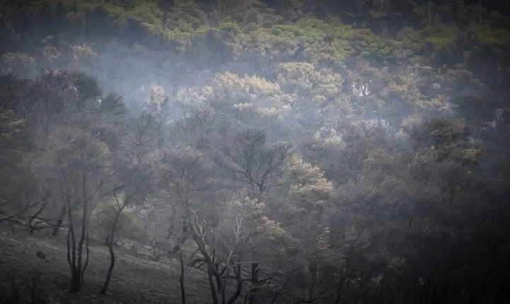 Πανελλήνια αλληλεγγύη για την ανείπωτη τραγωδία: Η Νάξος στέλνει βοήθεια στην Αττική!